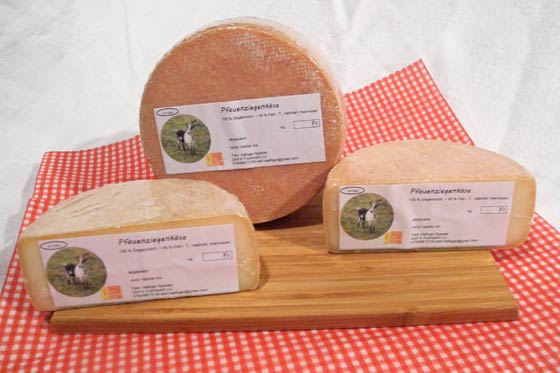 Pfauenziegenkäse
