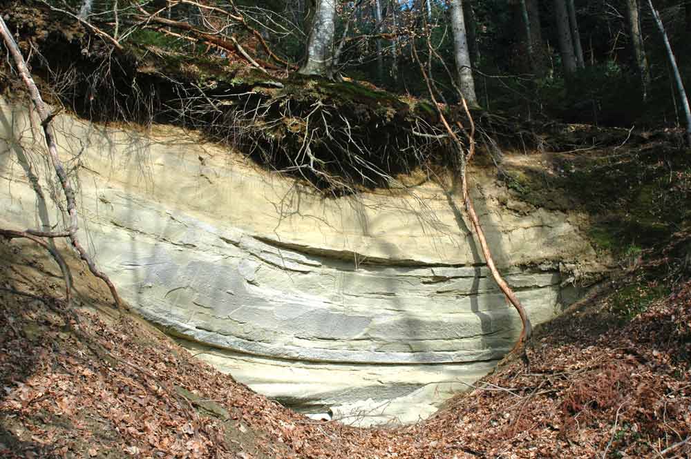 Molasse im Rottal