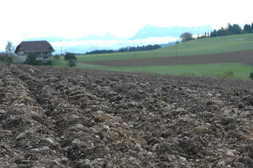 Moraene in Eppenwil