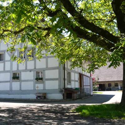 Rottalerbaumnussvielfalt 9 Dsc 0154